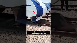 🐮Cow Accident With Vande Bharat Exp.😭 #shorts #youtubeshorts #railway #trainaccidentnews