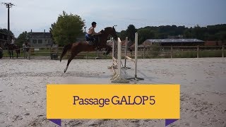 Semaine de stage  : GALOP 5