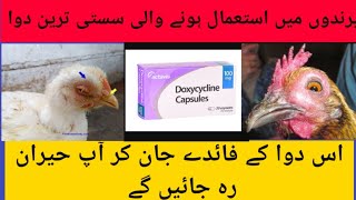 Doxycycline Capsules for Chickens | Useof Doxycycline in Backyard Poultry | Dr.Asif