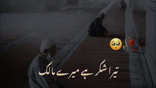 Tera Shukr hai mere Malik 🥺🥀|| Islamic Urdu Status || Urdu Words || #whatsappstatus #islamic #allah