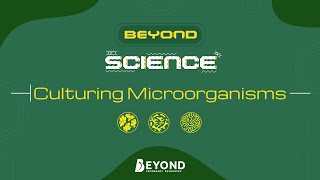 Beyond Science: Cell Biology - Culturing Microorganisms