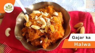 Gajar Ka Halwa । Easy Delicious Gajar Ka Halwa Recipe। Carrots Ka Halwa Recipe