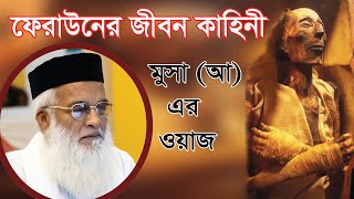 ফেরাউন কামলা থেকে কিভাবে মিশরের রাজা হলেন | মূসা আঃ এর ওয়াজ | বাঙ্গালী হুজুরের কন্ঠে ফেরাউন এর জীবনী