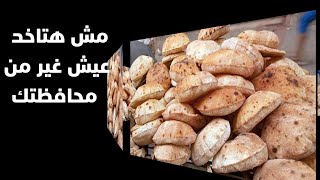 تغيير نظام صرف الخبز بالقاهره والجيزه والقليوبيه