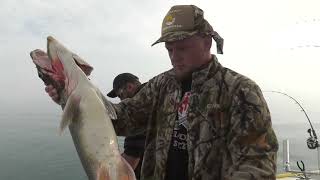 Lake Michigan Trout Fishing