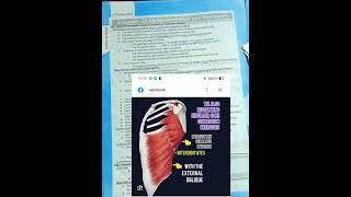 abdomen and pelvis anatomy|lecture-2| fcps part-1 preparation forum|past papers mcques