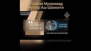 О Шейхе Мухаммад Мухтар Аш-Шанкити @znaniyesvet