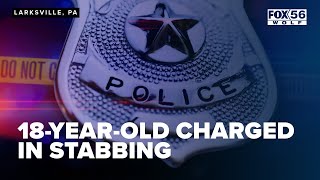 18-year-old charged in stabbing in Larksville