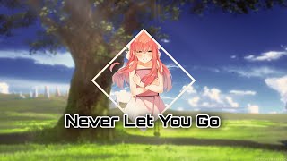 Never Let You Go