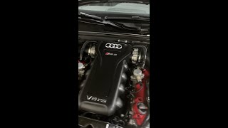 2013 AUDI RS5 | 51,773 MILES | LINK IN BIO.mp4