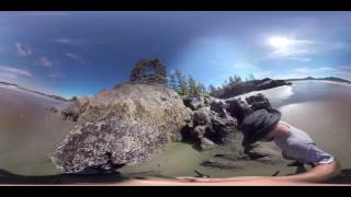 360 VIDEO: EE Beach 01