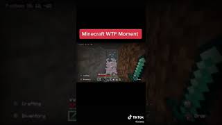 Minecraft WTF moment