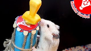 Cute Hamster Challenge with Food  | Hamster Survival 🐹15