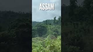 Videos onchannel #assam #india #shorts