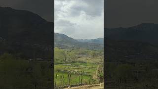 Srinagar a beautiful train journey #viralvideo #trending #srinagar #shorts #kashmir  #youtubeshorts