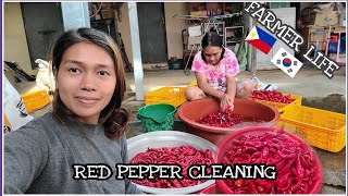 BUHAY FARMER SA SOUTH KOREA NAMITAS NANG SILI + LINISAN LAHAT NANG SILI  WITH MOTHER HAZEL MERCADO