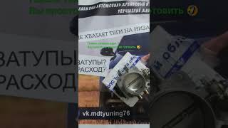 Газель плохо едит? Вы просто не умеете её готовить 🤣