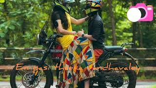 En uchi mandaila || Bikers || Vijay Anushka Shakthisree Gopalan || Tamil Whatsapp status💖