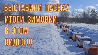 Весенние работы на пасеке. Выставили пчëл. Делаю большой обзор пасеки!