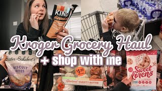 NEW Kroger Grocery Haul + Shop With Me | Weekly Grocery Haul + Shopping - February 2023