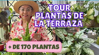 TOUR PLANTAS DE MI TERRAZA +de 170 Plantas#jardín#plantastropicales#tour#vlog#