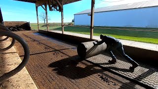 Replacing Worn Out Rubber in Dry Cow Barn