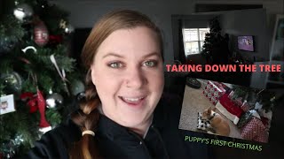 TAKING THE TREE DOWN IS DANGEROUS//WEEKLY RECAP//VLOG