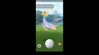 Pokemon Go 100% perfect iv Cresselia!!! excellent throw every ball 100iv