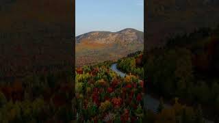 Drone View of Foliage Autumn Forest 😍😍 #shorts #shortvideo #shortsfeed #viral #trend