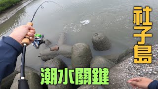 社子島釣魚趣(潮水的選擇)