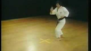 Shotokan Karate Nijushiho Kata - Hirokazu Kanazawa 10º Dan