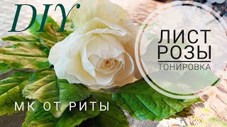 Лист Розы еще раз о тонировке.МК от Риты. Rose Leaf once again about toning by Rita