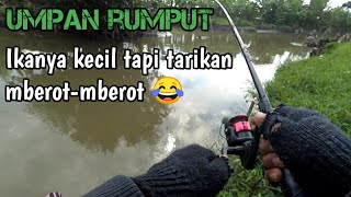 Mancing ikan tawes umpan rumput part 14