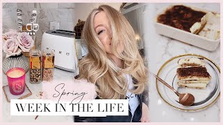 WEEK IN THE LIFE | kitchen haul, cook with me + veggie dinner & tiramisu recipes & new hair! ✨