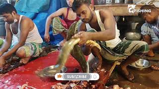 Amazing Fish cutting skills | Eel Fish Cutting And Chopping In Fish Market🔥 ALIVE Fish cutting  HD.