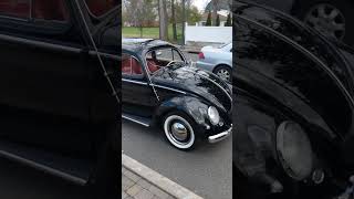 Spring is HERE!  1955 Oval VW Beetle For Sale! #shorts #vw #shortsvideo