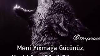 Meni Yixmaga Gücünüz, Yixildigim Gunu Gormeye Omrunuz catmaz!!!