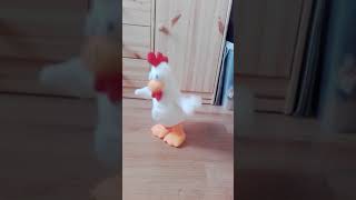 Dance chicken