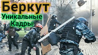 Беркут ● Уникальные кадры.