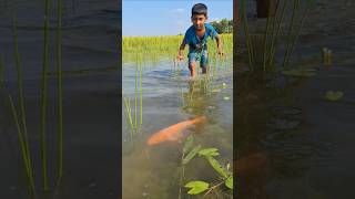 OMG! Amazing Boy Catching big Ruhu fish by hand in small water #hand_fishing #catch_fish #ruhu_fish