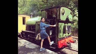 TALYLLYN RAILWAY THE WORLDS FIRST PRESERVED LOCOMOTIVE STEAM TRAIN