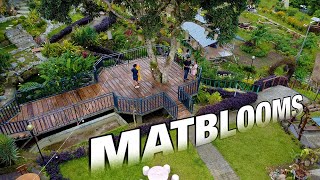 Matblooms Aerial View Tupi