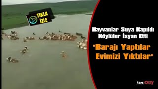 Kars'ın Susuz İlçesinde Sel Suları Ve Baraj Suyu Köylüleri Mağdur Etti #kars #baraj #haber