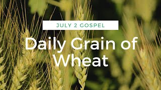 Daily Grain of Wheat July 2,2020 HD 720p