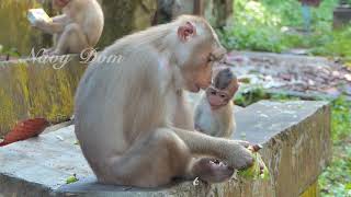 Mom Libby doesn't share foods to baby Rainbow, she is eating alone looks delicious baby just looking