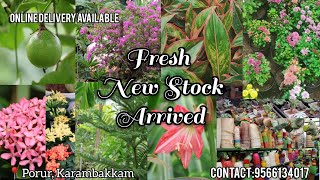 Fresh New Exotic Collections  Arrived 🤩✨💐 - Grab it soon #weekend#sale#starts #chennaipla