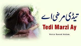 Poetry Tedi Marzi Ay By Saeed Aslam Punjabi Shayari Whatsapp Status | poetry status | snack videos