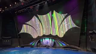 Dolphin Dreams: A Spectacular Show at Georgia Aquarium #georgiaaquarium #spreadloveandhappiness #sea