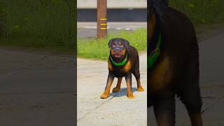 GTA V FRANKLIN DOG CHOP CAUGHT HIS GF CHEATING #shorts | Maheshwar Gamerz