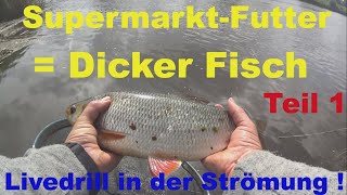 Angel mit SUPERMARKT-FUTTER im Tidegewässer  | STRÖMUNGSANGELN mit der POSE bringt dicken Fisch !